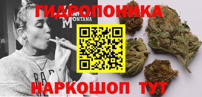 a pvp Кунгур