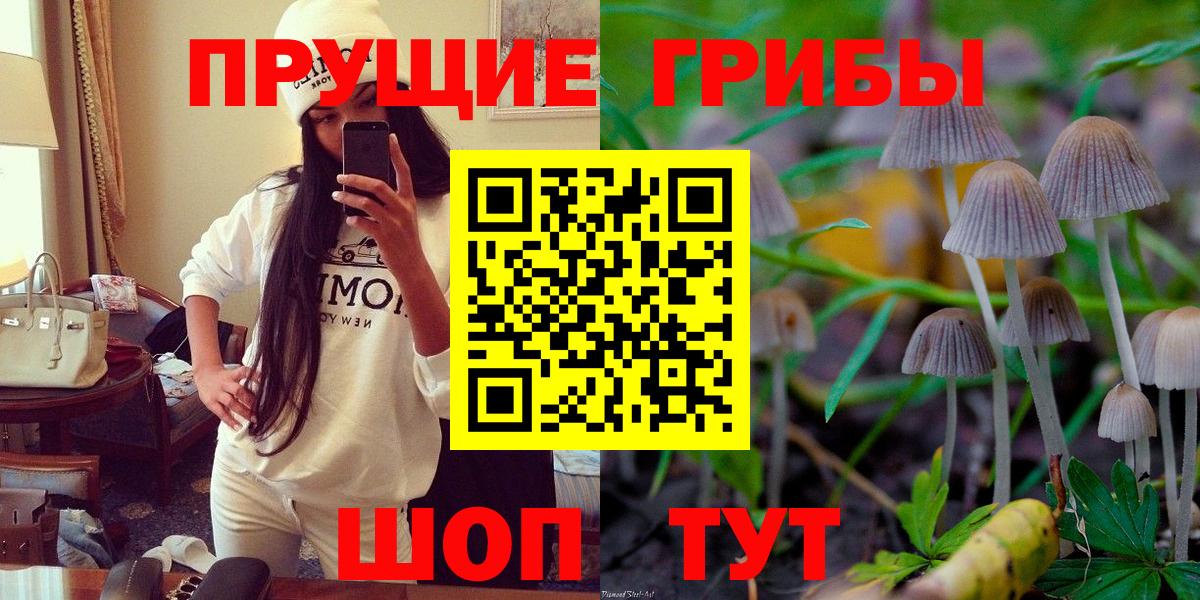 Галлюциногенные грибы GOLDEN TEACHER  Вход с VPN  Тавда 